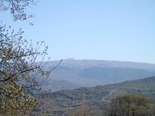 Γενική θέα στο βουνό ή θέα στο βουνό από  αυτό το κατάλυμα σε φάρμα