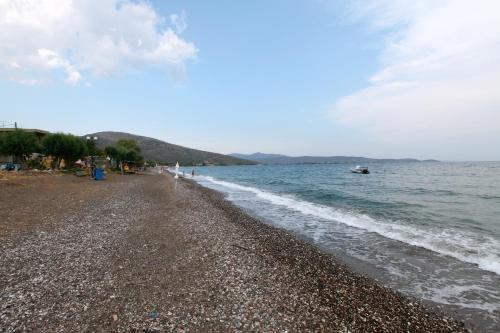 a beach with a rocky shore and the ocean at Sofia Apartments - Kantia in Kandia