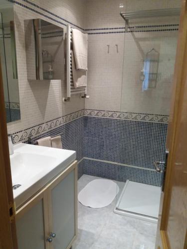 une salle de bains avec lavabo, toilettes et douche dans l'établissement Apartamento Pleno Centro Gran Via, à Logroño