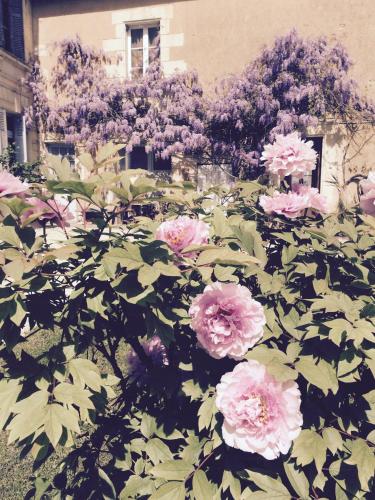 a bunch of pink roses in front of a building at La Grande Maison in Pas-de-Jeu