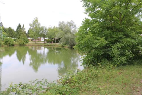 Výhled na řeku, která protéká v blízkosti kempu
