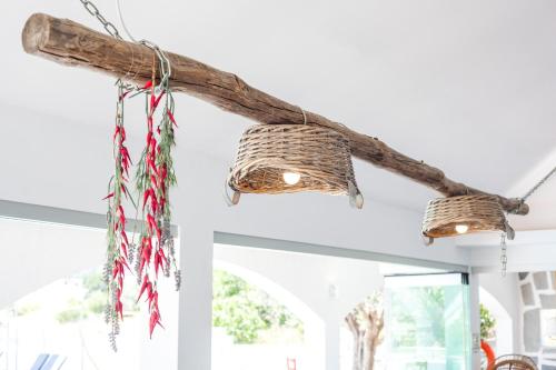 a branch and two baskets hanging from a ceiling at Malibu Boutique Studios & Bungalows in Faliraki