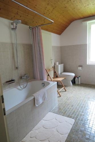 a bathroom with a bath tub and a toilet at B&B Sigrid Braun-Budde in Bettingen