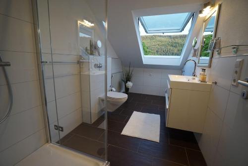 a bathroom with a shower and a toilet and a sink at York Cottage in Traben-Trarbach