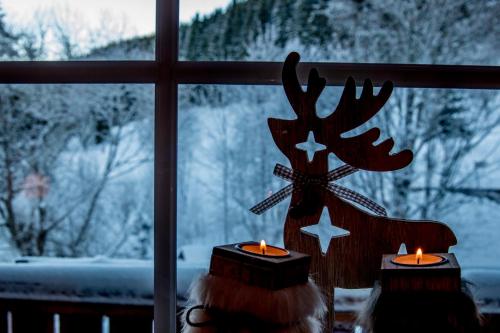 Hotel & Restaurant Grüner Baum - Die Grüne Oase Am Feldberg v zimě