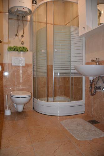 a bathroom with a shower and a toilet and a sink at Apartments Linda in Drasnice