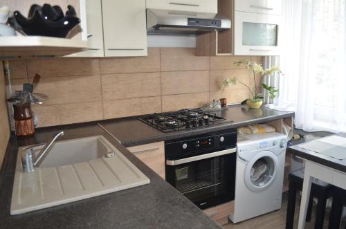 Η κουζίνα ή μικρή κουζίνα στο Apartament Telimena