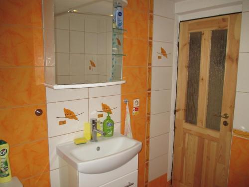 a bathroom with a sink and a mirror at RD Černčín Bučovice in Černčín