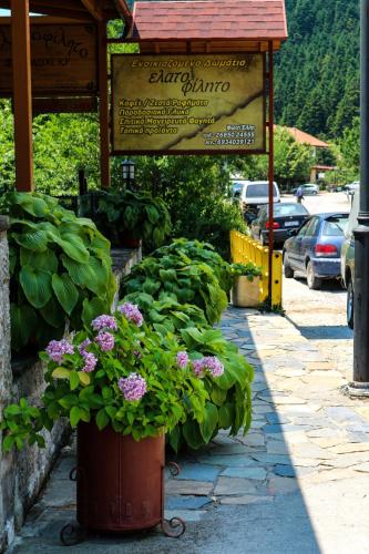 Taman di luar Hotel Elatofilito