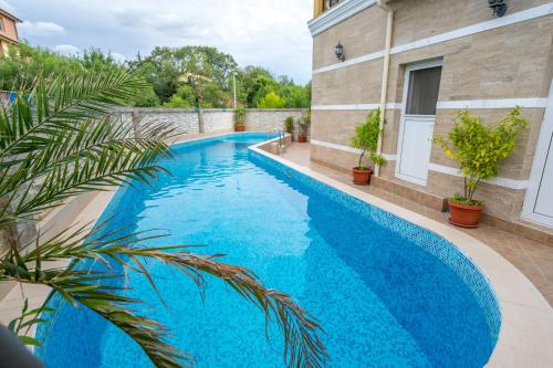 a blue swimming pool with a palm tree next to a building at Hotel Luxor in Lozenets