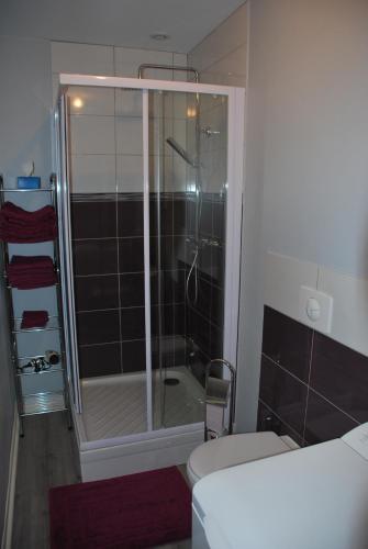 ein Bad mit einer Dusche und einem WC in der Unterkunft Les Ambassadeurs in Vichy