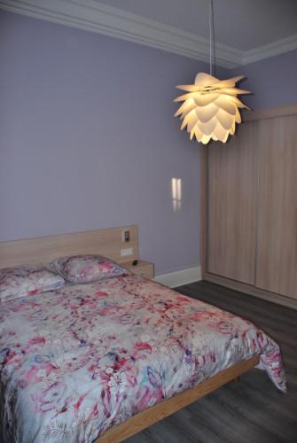 Schlafzimmer mit einem Bett und einem Kronleuchter in der Unterkunft Les Ambassadeurs in Vichy