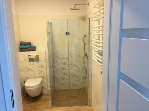 Ένα μπάνιο στο Apartament Silver