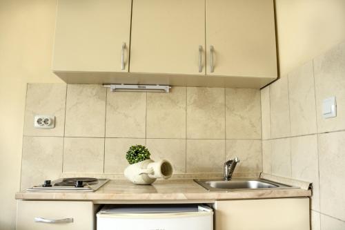 Η κουζίνα ή μικρή κουζίνα στο Apartmani Stanovčić