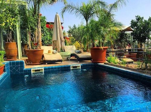 a swimming pool with a couch and a umbrella at Riad Moullaoud in Marrakesh