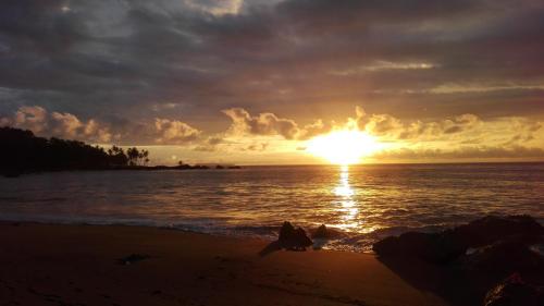 a sunset on the beach with the sun setting at Life for Life Hostel Drake Bay Home of Sea Turtle Marine Conservation Project Osa Peninsula near San Josecito Beach in Drake