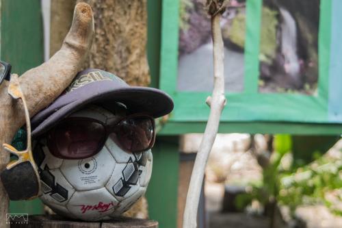 a soccer ball wearing a hat and sunglasses at Life for Life Hostel Drake Bay Home of Sea Turtle Marine Conservation Project Osa Peninsula near San Josecito Beach in Drake