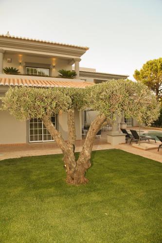Κήπος έξω από το Charming Exceptional Golf Villa in Algarve