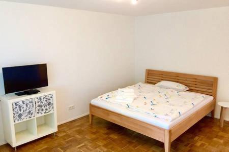 Schlafzimmer mit einem Bett und einem Flachbild-TV in der Unterkunft FeWo "Im Birnaublick" in Konstanz