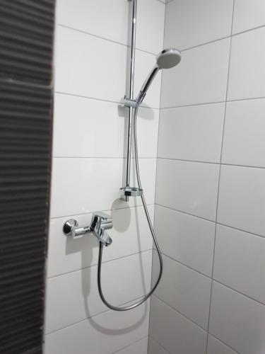 a shower with a shower head in a bathroom at Apartments Nogic in Peroj