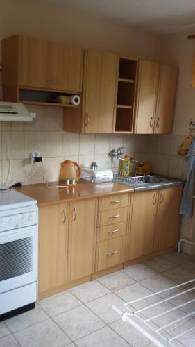 a kitchen with wooden cabinets and a sink and a stove at Barnabáš Rusnák Ubytovanie v súkromí in Mučín