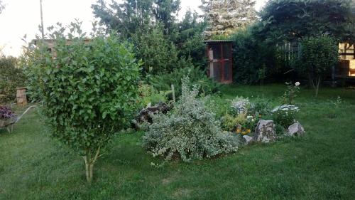 a garden with a tree and flowers in the grass at Barnabáš Rusnák Ubytovanie v súkromí in Mučín