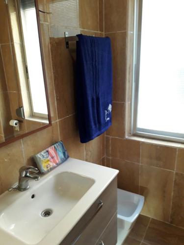 a bathroom with a sink and a mirror and a toilet at Apartamento Sofia in Valencia