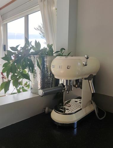 a toilet in a bathroom with a plant next to a window at Romantic Piha in Piha