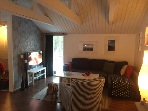 een woonkamer met een bank en een hond bij Stuga i Ullared in Ullared