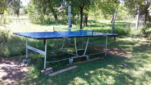 a blue ping pong table sitting in the grass at Cabana Cris in Beclean