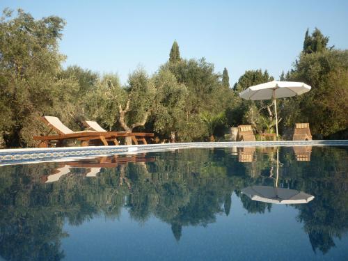 a swimming pool with an umbrella and a table and chairs at B&B Villa Giuliana in Arnesano
