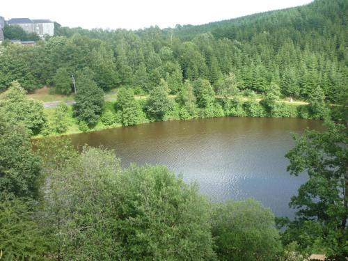 an aerial view of a lake in a forest at Hotel Bô Rivage in Neufchâteau