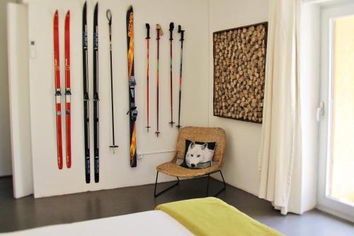 a cat sitting in a chair in a room with skis on the wall at Casa de Campo De Torneiros in Unhais da Serra