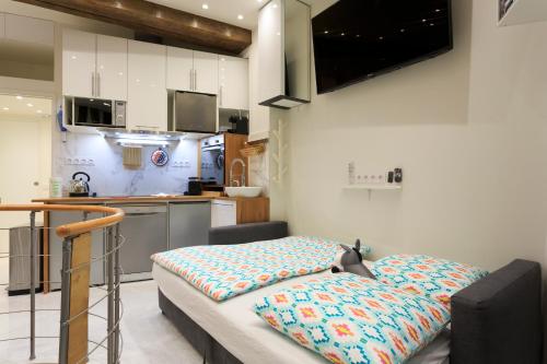 un lit d'hôpital dans une pièce avec cuisine dans l'établissement Louvre Luxury Apartment & SPA, à Paris