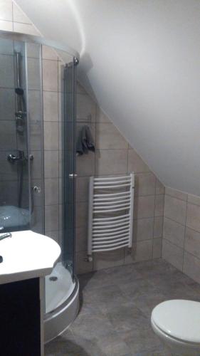 a bathroom with a shower and a toilet and a sink at Agroturystyka,, Ranczo Kruszynki" in Stronie Śląskie