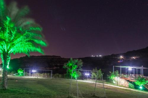 a soccer field with a palm tree at night at Estate Kares in Tílisos