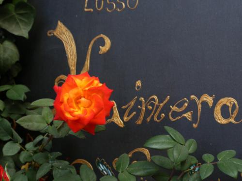 a sign with a red rose and the word albuquerque at Kimera in Piazza Armerina