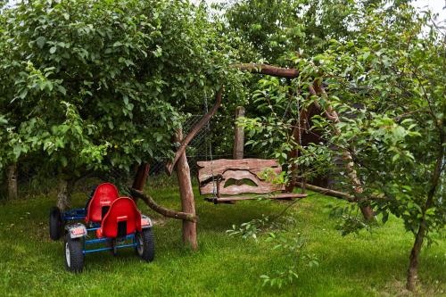 a red and blue toy motorcycle sitting in the grass at Gospodarstwo Agroturystyczne Antoniewo in Antoniewo