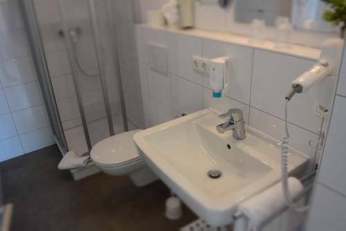 a bathroom with a sink and a toilet at Klausdorfer Hof in Schwentinental