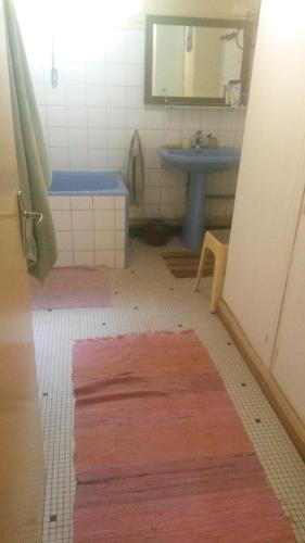 een badkamer met een toilet, een wastafel en een tapijt bij l'estanquet in Eauze