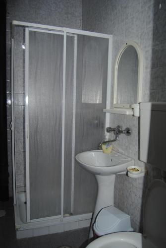 a bathroom with a shower and a sink and a toilet at Joleski Accommodation in Ohrid