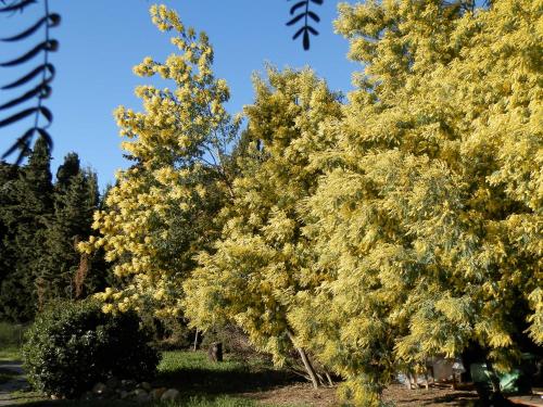 Φωτογραφία από το άλμπουμ του Mas la Mouillere σε Camélas