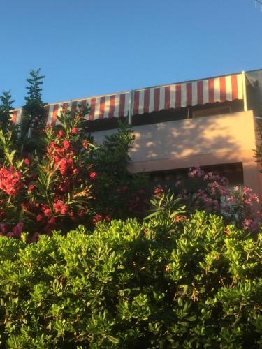 La Perla di Alghero في ألغيرو: مبنى به مجموعة من الأشجار والزهور