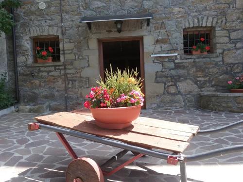 a wooden table with a pot of flowers on it at Il Casolare Bioenergetico in Albareto