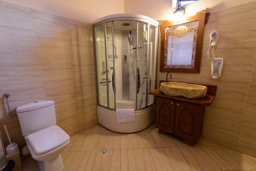 a bathroom with a shower and a toilet and a sink at LaCetate Boutique Hotel in Piteşti
