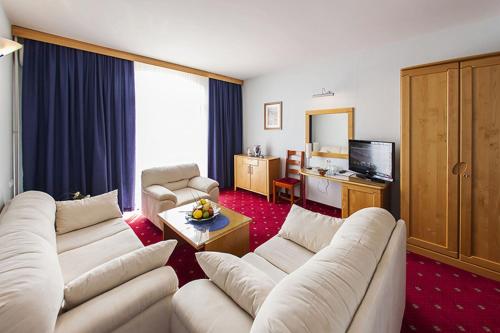 ProkosovićiにあるHotel Senad od Bosneのリビングルーム(ソファ2台、テレビ付)