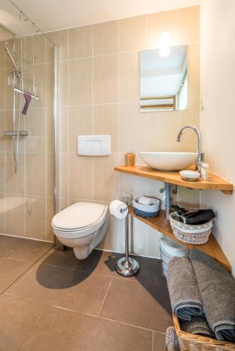 une salle de bain avec toilettes, lavabo et douche dans l'établissement Studio Romand proche Morzine, à Essert-Romand