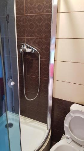 y baño con ducha y aseo. en Glamour Hotel en Luhyny