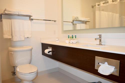 a bathroom with a toilet and a sink and a mirror at Holiday Inn Express Calexico, an IHG Hotel in Calexico