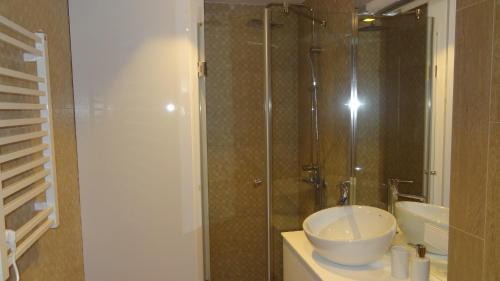 a bathroom with a sink and a glass shower at Preila Holiday in Preila